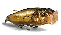 Pop Max Megabass