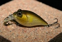 Griffon SR-X Megabass