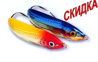Minnow Spoon Rapala