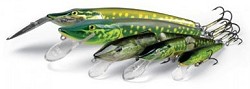 Pike Salmo