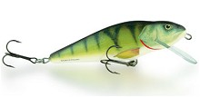 Perch Salmo