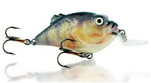 Boxer Salmo
