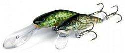 Bullhead Salmo