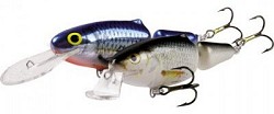 Frisky Salmo