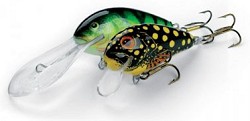 Butcher Salmo