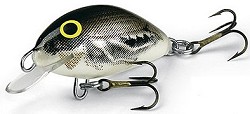 Tiny Salmo