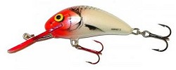 Hornet Salmo