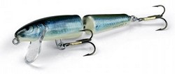 Fanatic Salmo