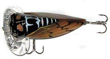Mad Cicada Daiwa