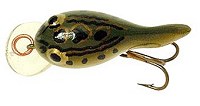 Tadfry REBEL