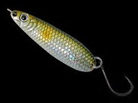 ������ ������������ Daiwa Silver Creek Masau 22 L