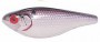   Wee Shad C1116