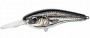   Grappler Shad CD14416