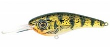 ������ Cotton Cordell Grappler Shad CD14412