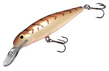 ������ Salmo Roach R9F CW