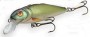   Roach R9F RG