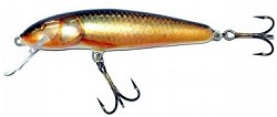 ������ Salmo Minnow M9F RR