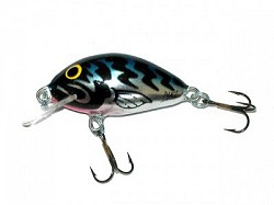 ������ Salmo Tiny IT3F SBT