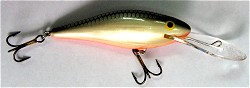 ������ Salmo Executor IEX7SDR GS
