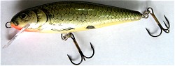������ Salmo Roach R9F GR