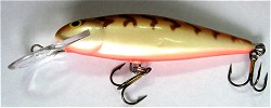 ������ Salmo Roach R9DR CW