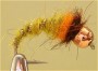   Caddis pupa 1-13/12