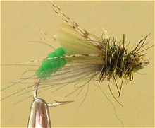 ������� ����� - ����� �������� ��������� Caddis pupa 1-16/12