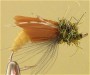   Caddis pupa 1-17/14