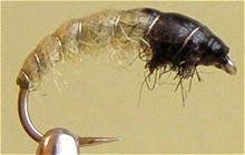 ������� ����� - ����� �������� ��������� Czech Nymph 1-20/12