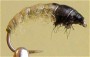   Czech Nymph 1-20/12