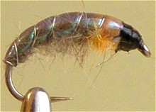 ������� ����� - ����� �������� ��������� Czech Nymph 1-21/14
