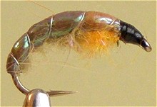 ������� ����� - ����� �������� ��������� Czech Nymph 1-22/14