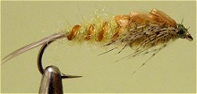 ������� ����� - ����� �������� ��������� Stonefly 1-23/12