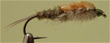 ������� ����� - ����� �������� ��������� Stonefly 1-24/06