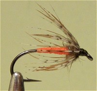 ������� �����  ������ �������� ��������� Partridge orange 1-31/10