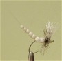   Mayfly 2-06/12