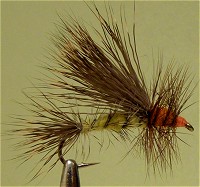 ������� ����� ����� �������� ��������� Stimulator Yellow 2-14/12