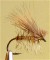  Elkwing Caddis 2-19/12