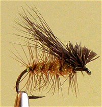������� ����� ����� �������� ��������� Elkwing Caddis 2-21/14