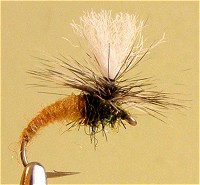 ������� ����� ��������� �������� ��������� Klinkhammer 2-24/12