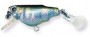   Aile Killifish F645-HOK