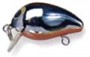   Snap Beans F237-M92